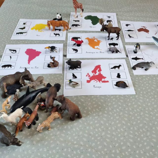 Montessori : le jeu d'association animal/ pelage-plumage à imprimer  gratuitement
